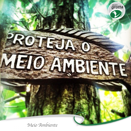 Meio Ambiente e Grupo Grotta:  a construção sustentável